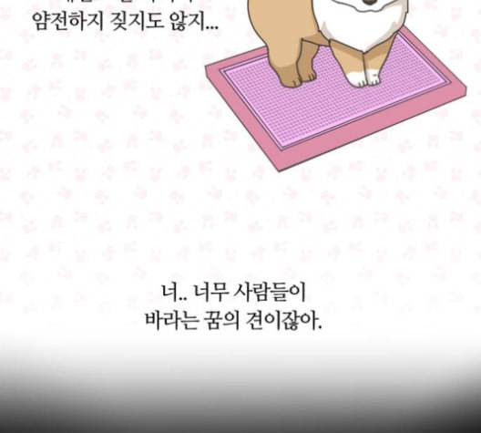 개를 낳았다 시즌2 23화 4