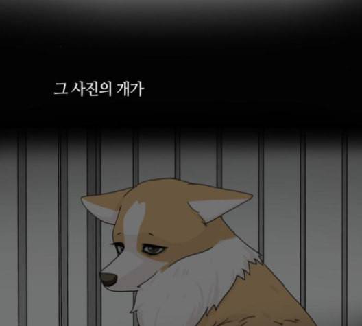 개를 낳았다 시즌2 23화 5