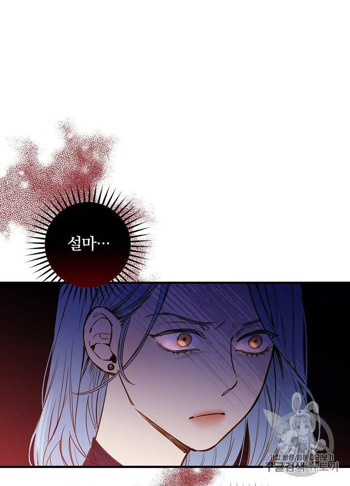 그림자 황비 28화 14
