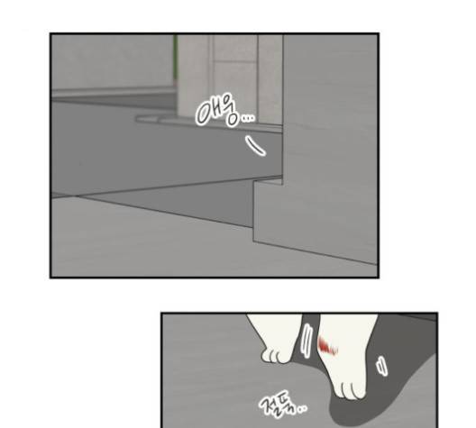 정순애 식당 52화 5