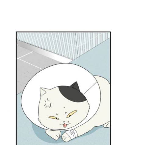 정순애 식당 52화 9