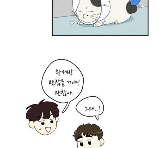 정순애 식당 52화 11