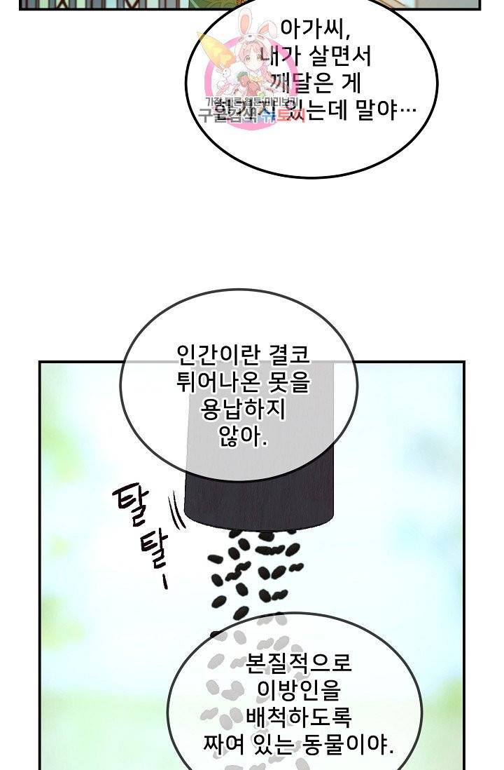램프의 아미나 57화 37