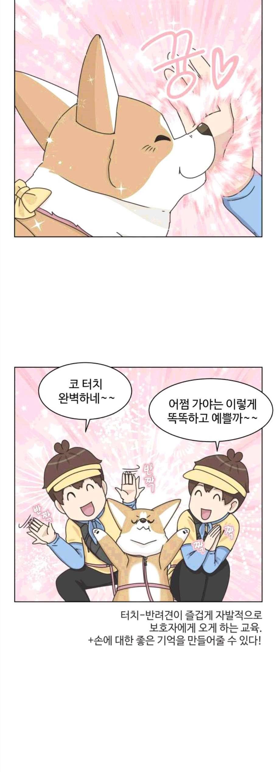 개를 낳았다 시즌2 30화 3