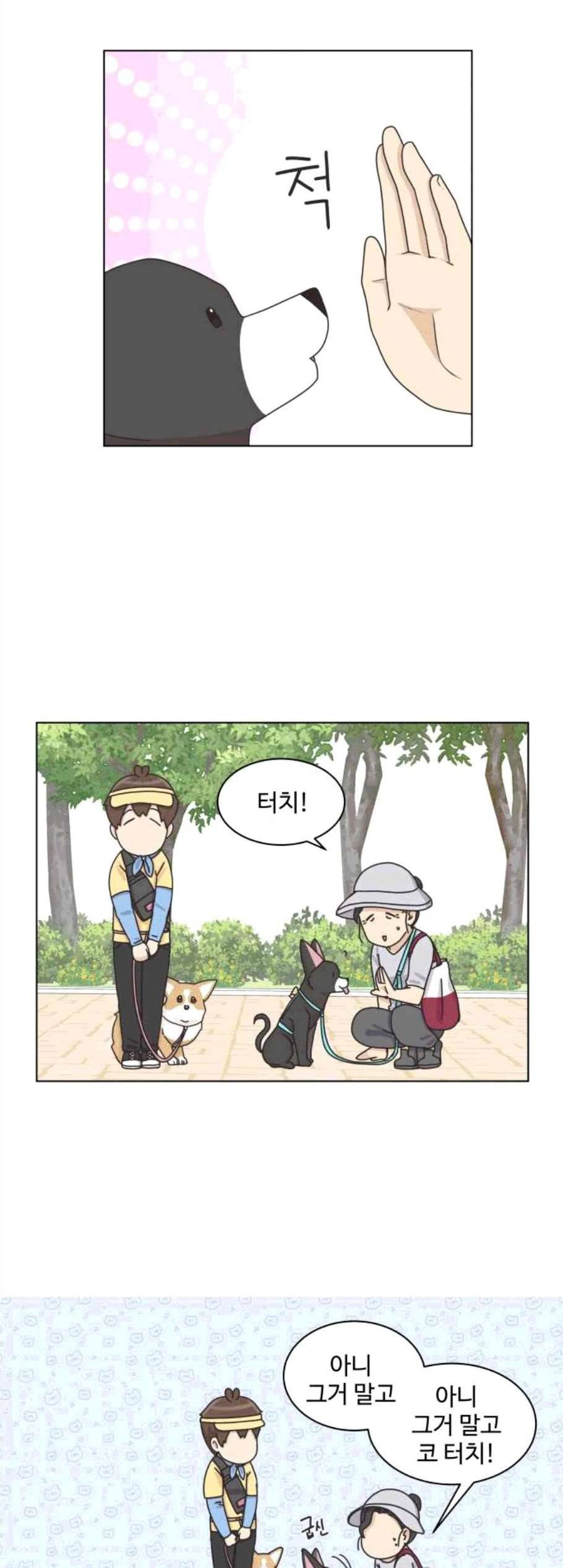 개를 낳았다 시즌2 30화 9