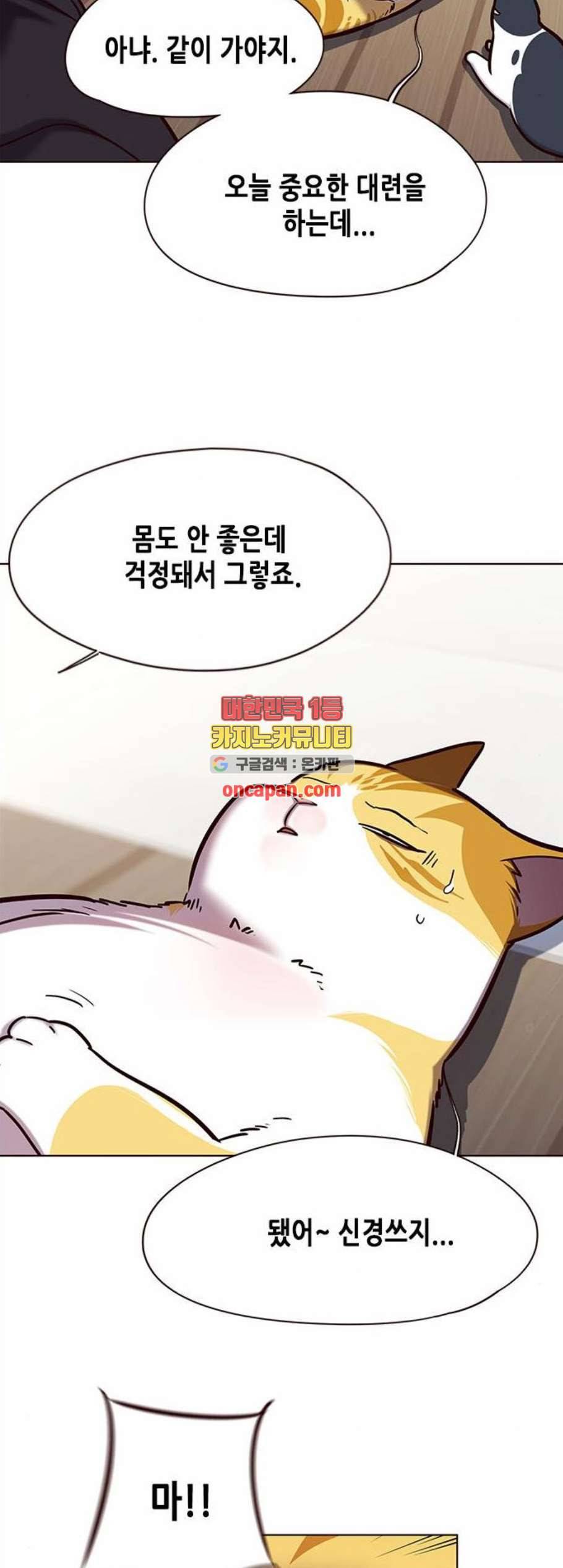 일렉시드 119화 5