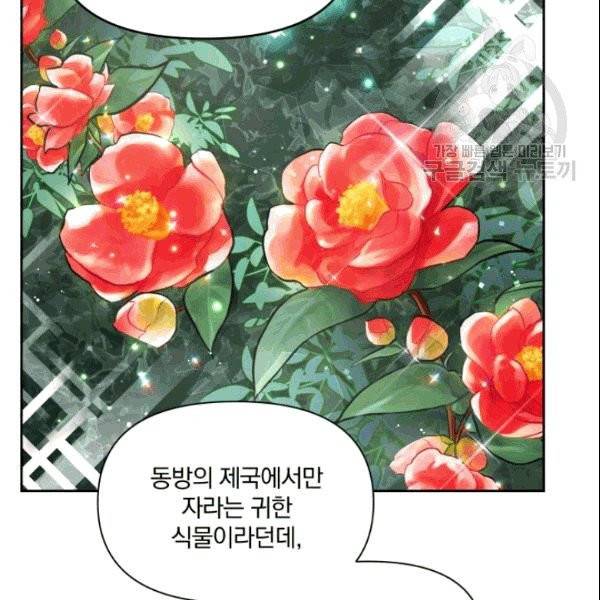 폭군의 보호자는 악역 마녀입니다 17화 17