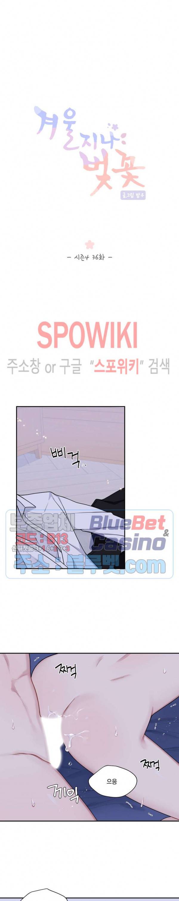 겨울 지나 벚꽃 시즌4 36화 10