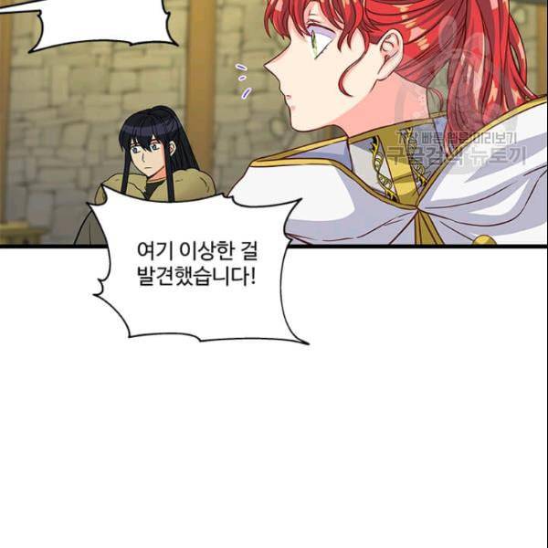 프리실라의 결혼 의뢰 58화 101