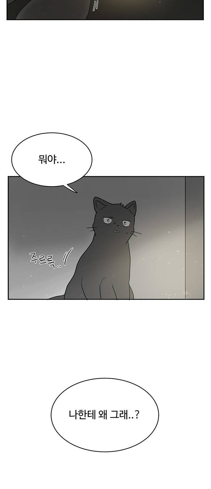 커피도둑 8화 4