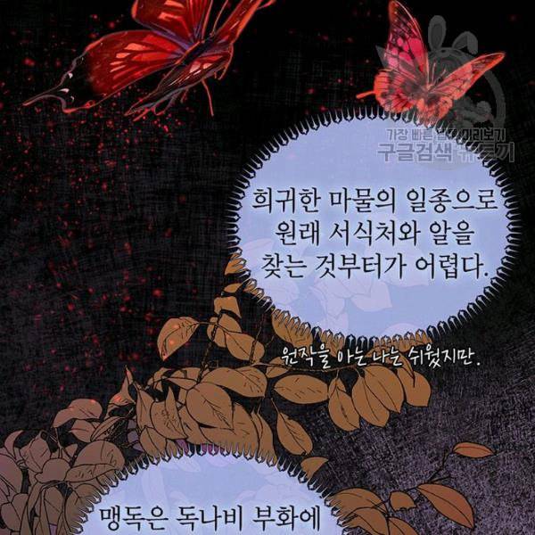 록사나 : 여주인공의 오빠를 지키는 방법 5화 8