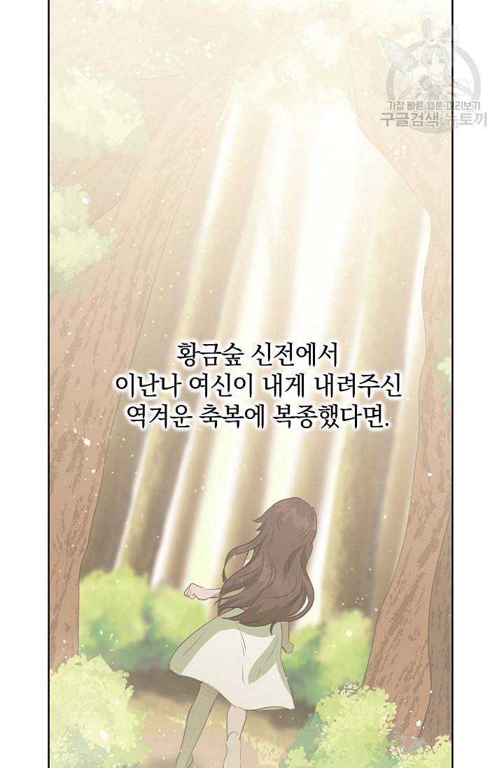황금숲 5화 15