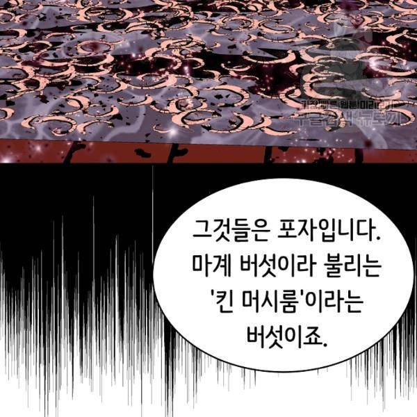 8서클 마법사의 환생 49화 18