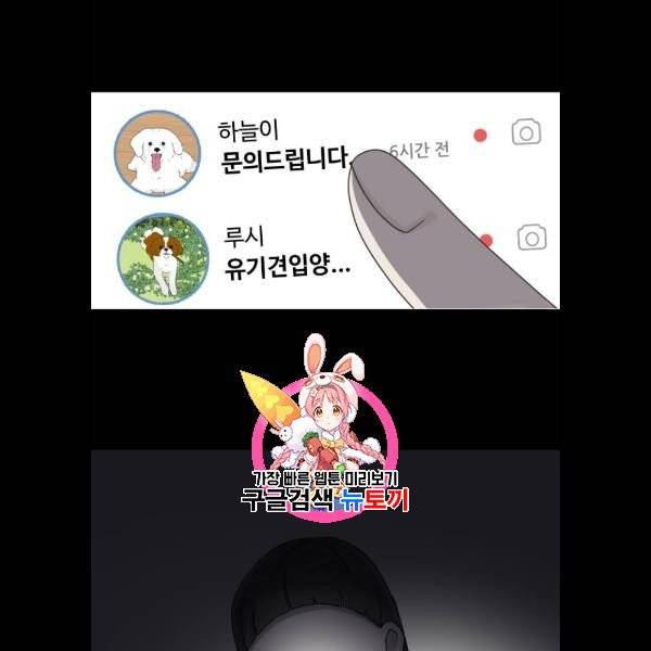 개를 낳았다 시즌2 41화 1