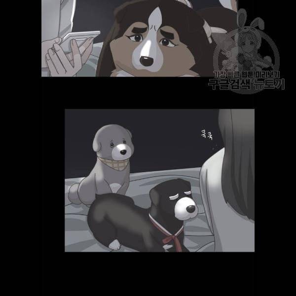 개를 낳았다 시즌2 41화 4