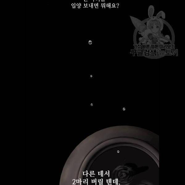 개를 낳았다 시즌2 41화 10