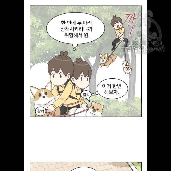 개를 낳았다 시즌2 43화 2
