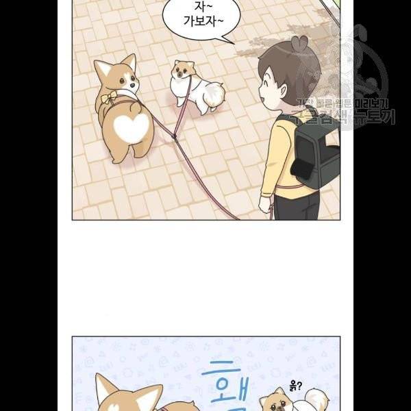 개를 낳았다 시즌2 43화 3