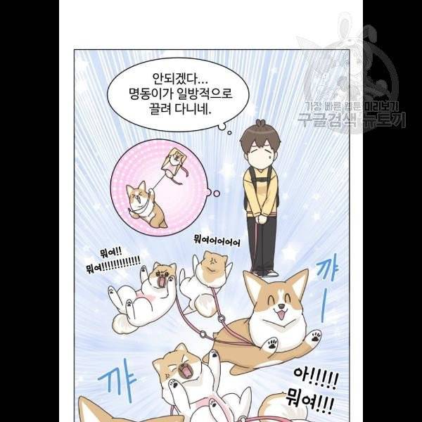 개를 낳았다 시즌2 43화 5