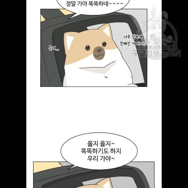 개를 낳았다 시즌2 43화 9