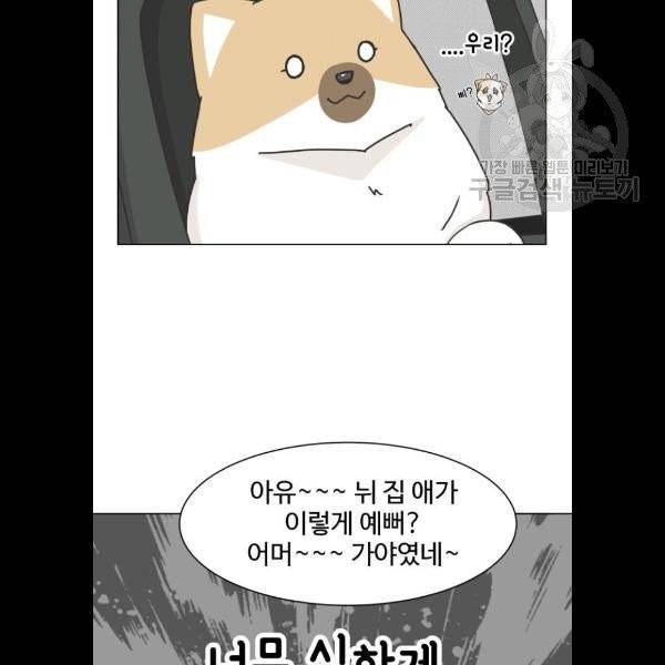 개를 낳았다 시즌2 43화 10