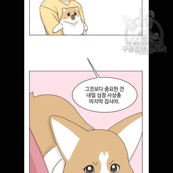 개를 낳았다 시즌2 43화 17
