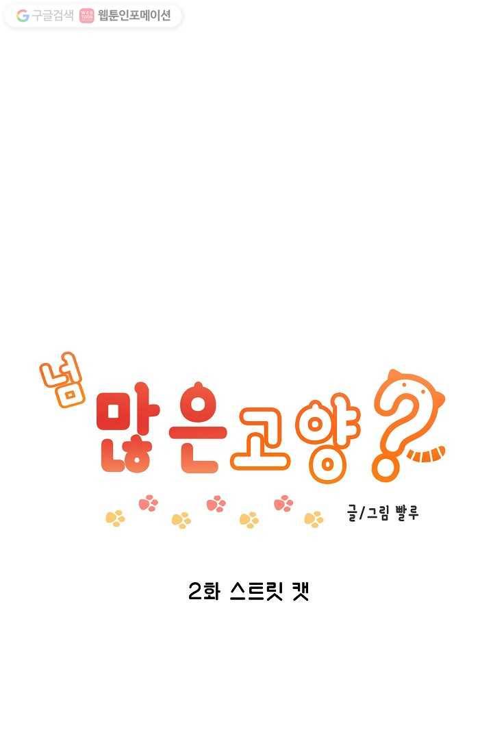 넘 많은 고양! 003화 1