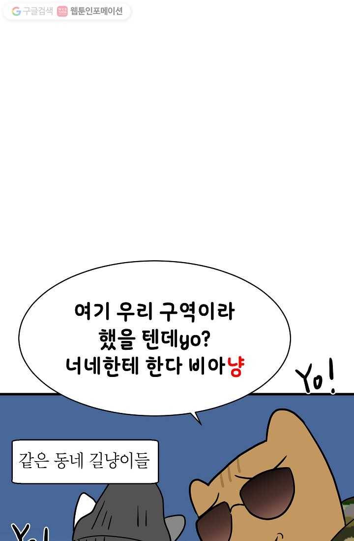 넘 많은 고양! 003화 5