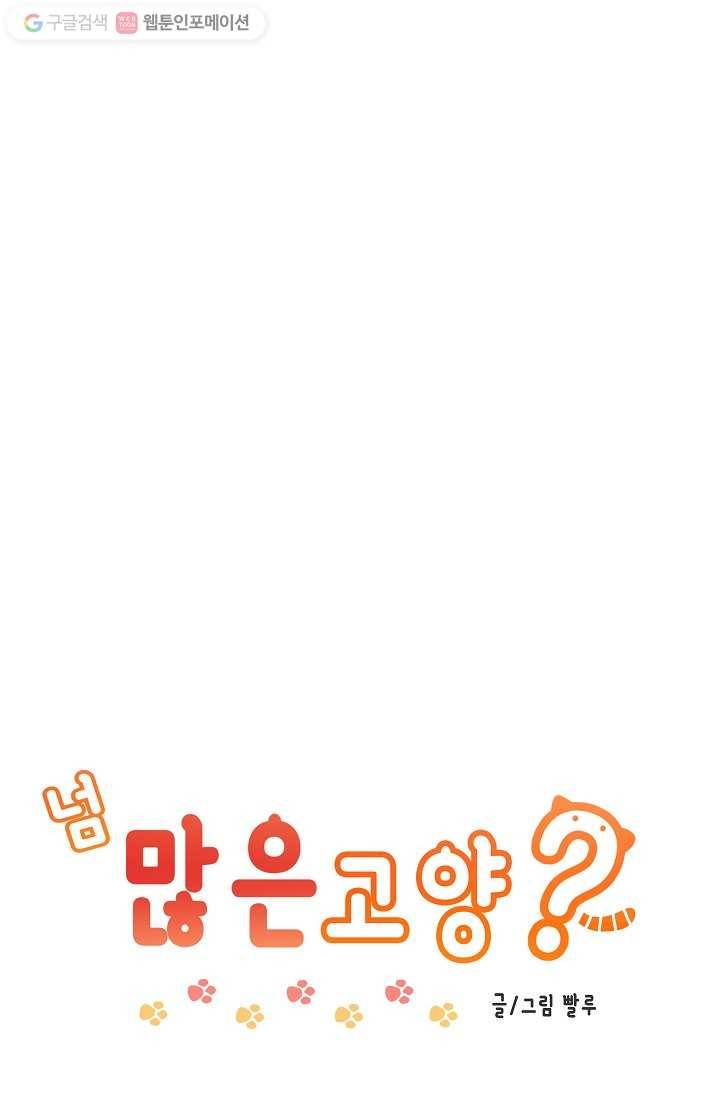 넘 많은 고양! 008화 1