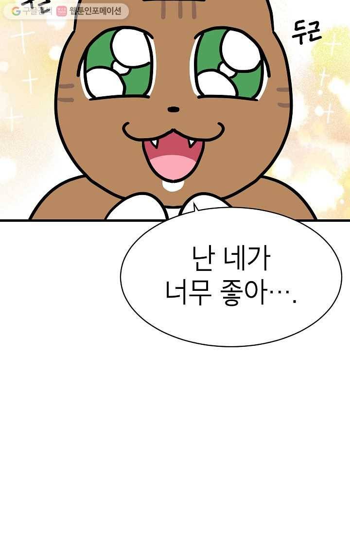 넘 많은 고양! 008화 3