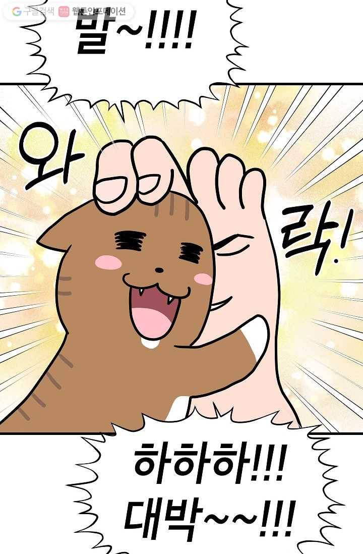 넘 많은 고양! 008화 6
