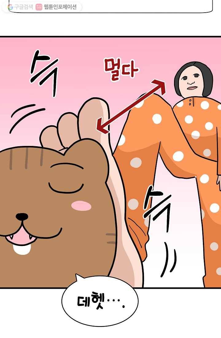 넘 많은 고양! 008화 11