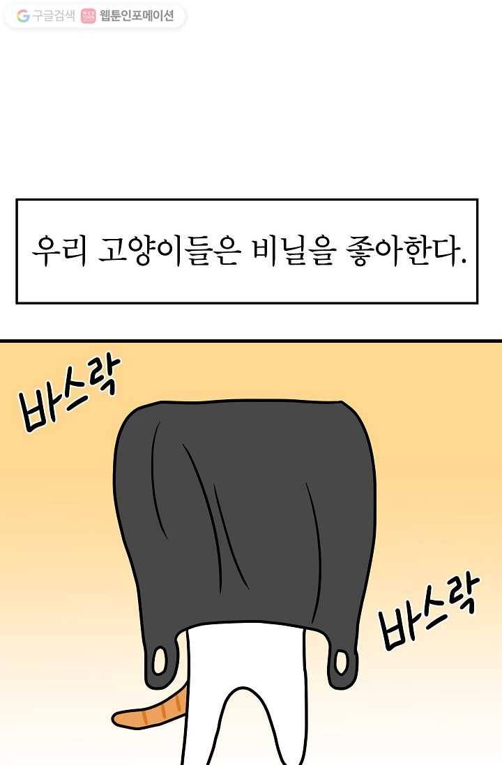 넘 많은 고양! 032화 2
