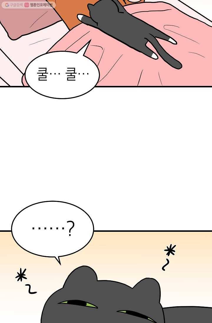 넘 많은 고양! 040화 3