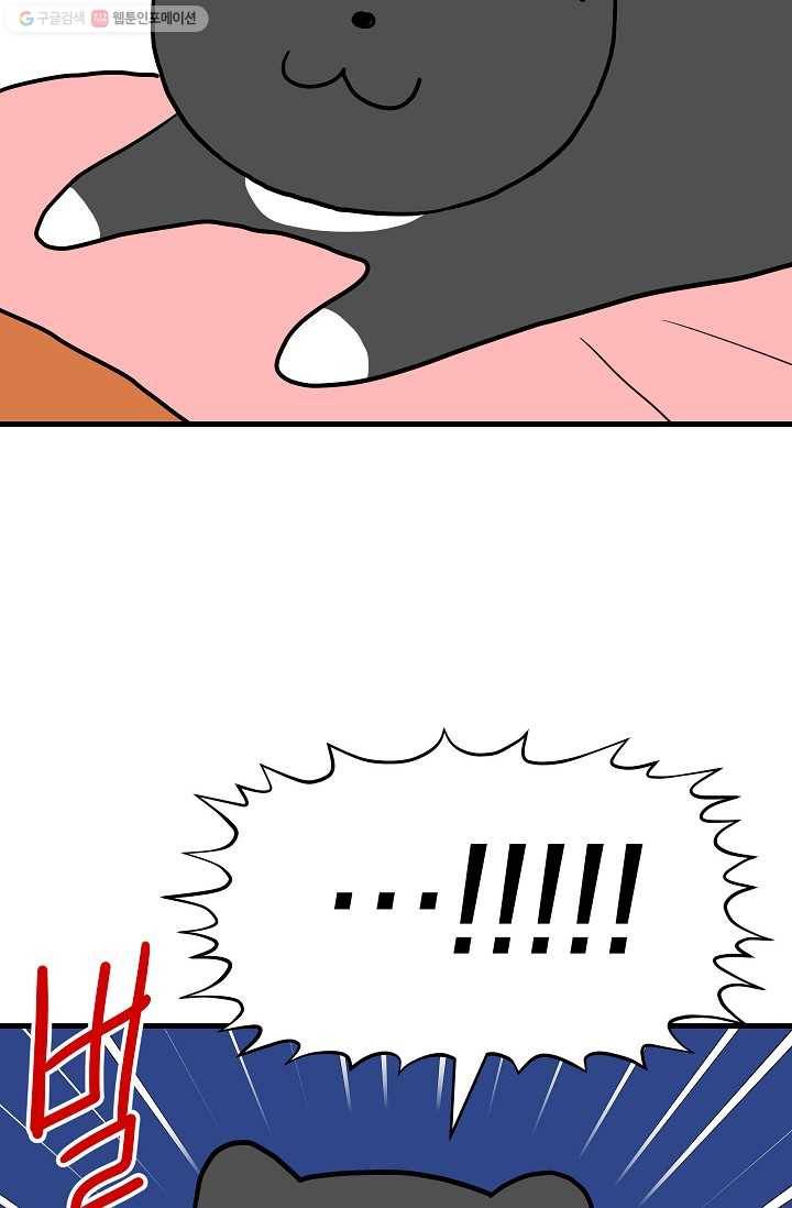 넘 많은 고양! 040화 4