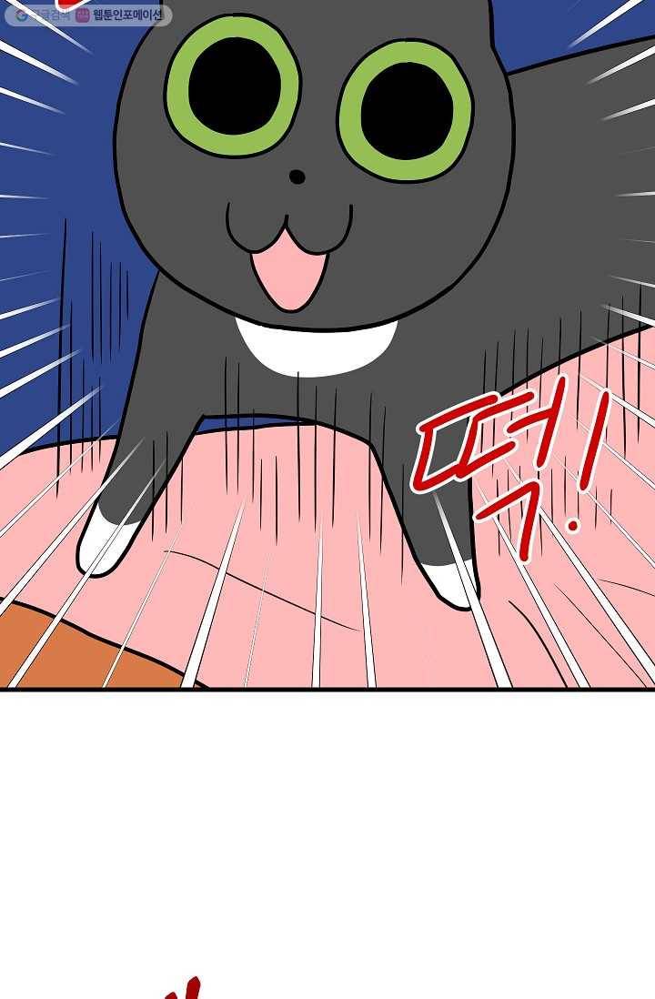 넘 많은 고양! 040화 5