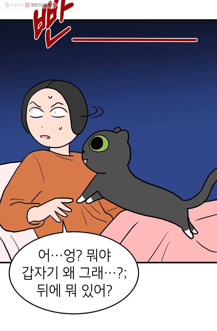 넘 많은 고양! 040화 6