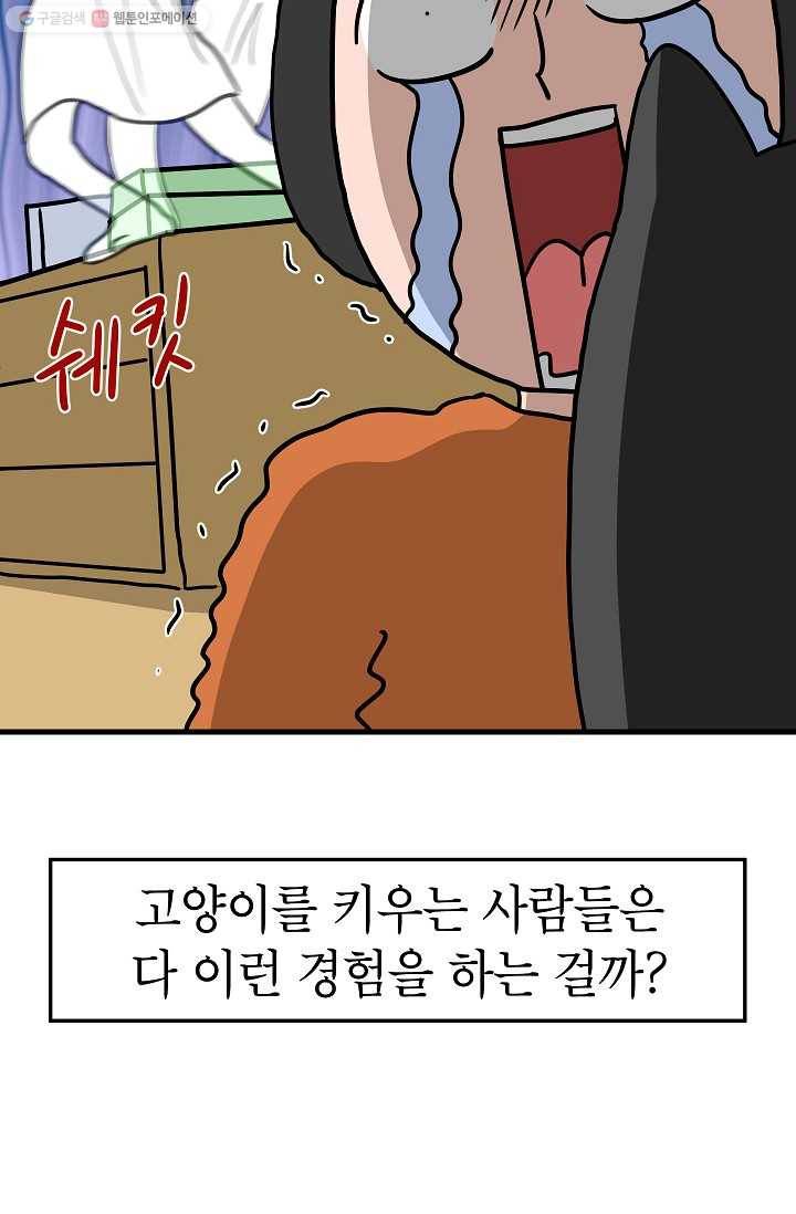 넘 많은 고양! 040화 11