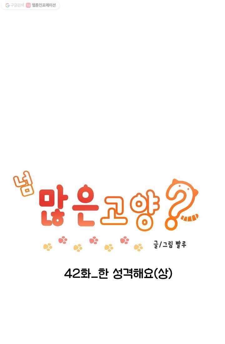 넘 많은 고양! 043화 1