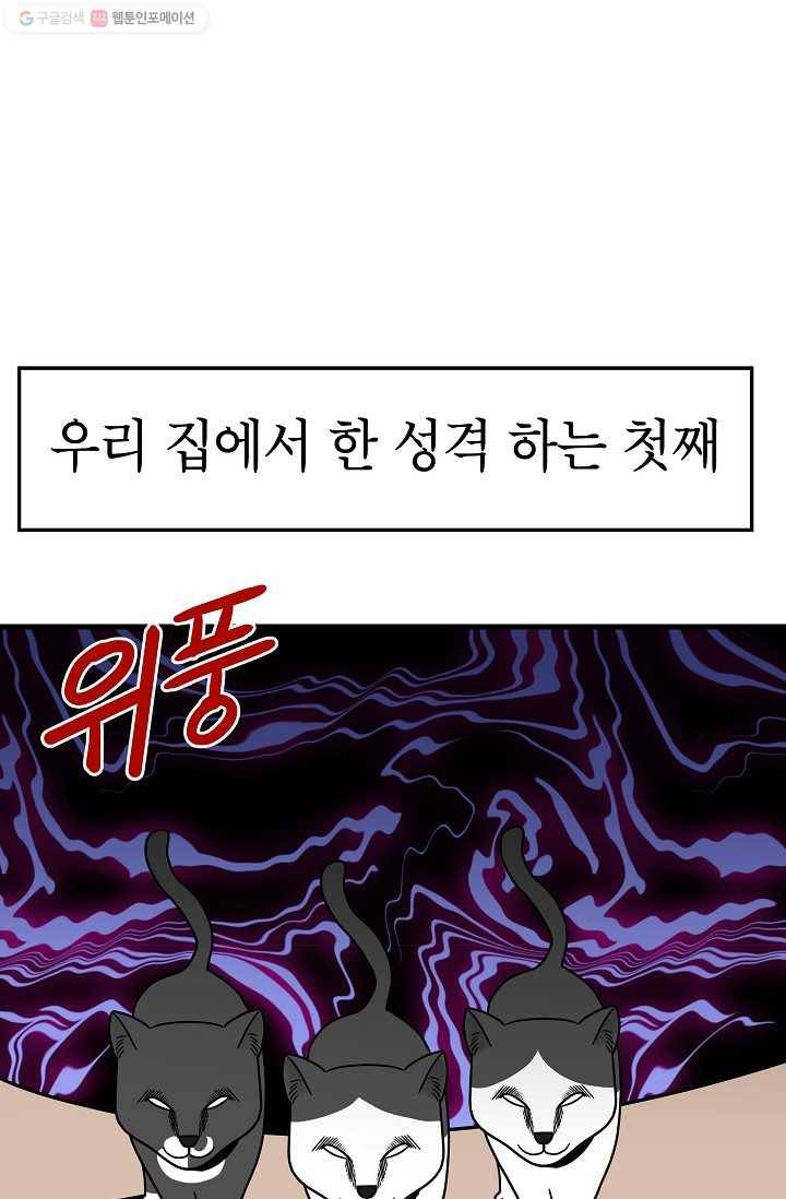 넘 많은 고양! 043화 2