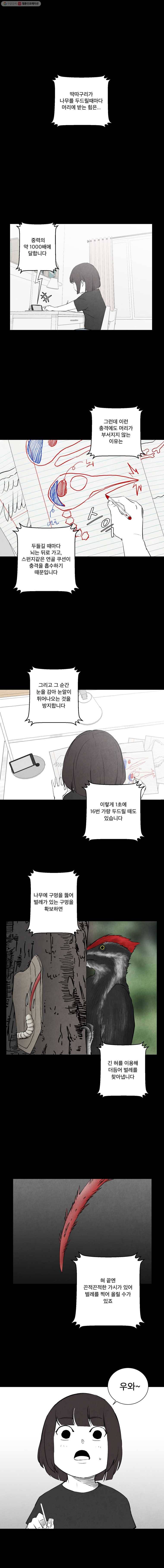 조류공포증 25화 1