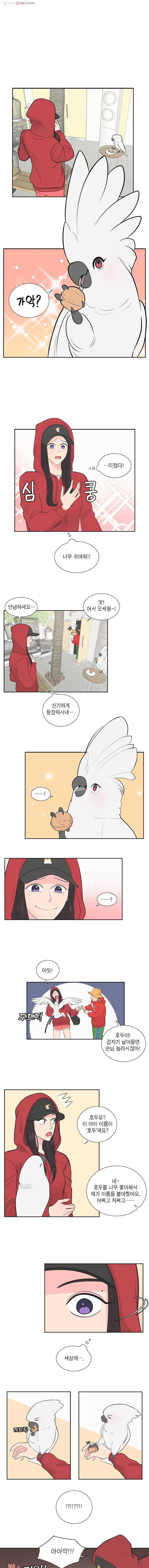 그녀의 앵무새 2화 잘못된 만남(2) 1