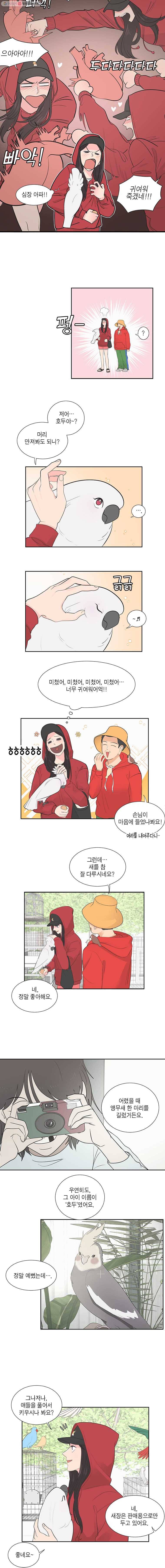 그녀의 앵무새 2화 잘못된 만남(2) 2