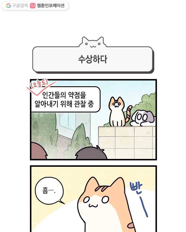 지구의 주인은 고양이다 11화 1