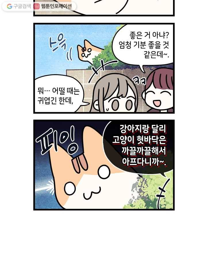지구의 주인은 고양이다 67화 2