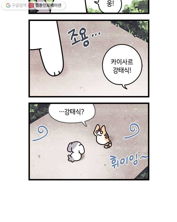 지구의 주인은 고양이다 83화 2