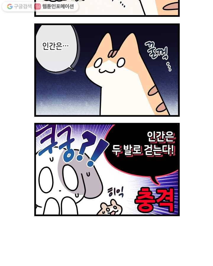 지구의 주인은 고양이다 109화 2