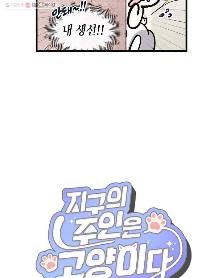 지구의 주인은 고양이다 167화 3
