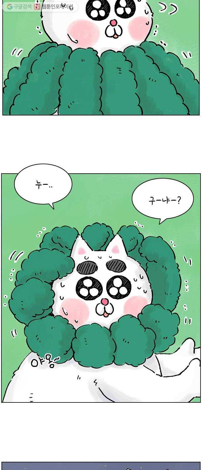 안녕 나의 모모로 열일곱 13