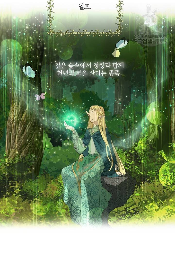 금발의 정령사 57화 70